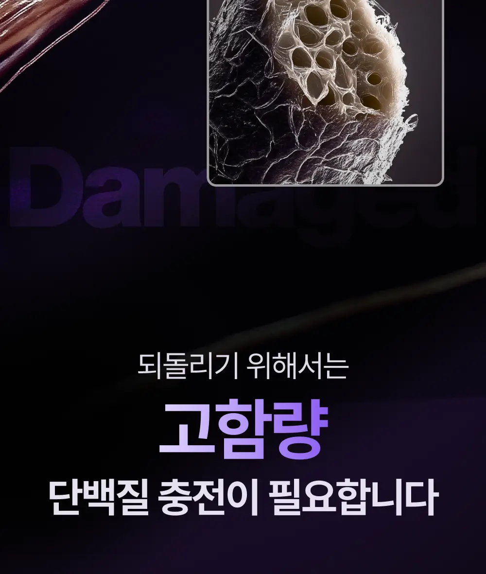 [100시간 지속] 프롬랩스 초고함량 단백질 흡착 부스터 파우더 2g*8ea 상세페이지 12
